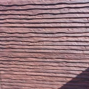 Європаркан Сайдинг дикий